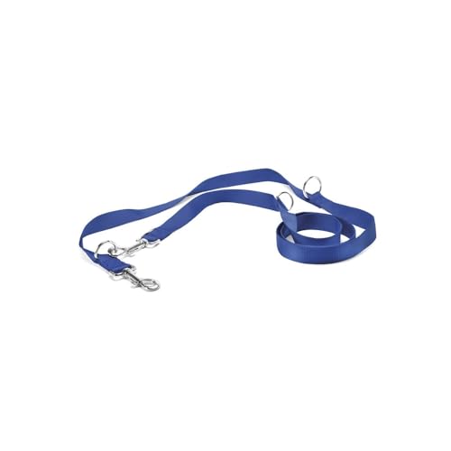 Record Trainingsleine für Hunde aus Nylon mit Metallkarabiner | Farbe Blau, Größe L - 2,3 cm, Länge - 220 cm Record Trainingsleine für Hunde aus Nylon mit Metallkarabiner | Farbe Blau, Größe L - 2,3 cm, Länge - 220 cm von Record