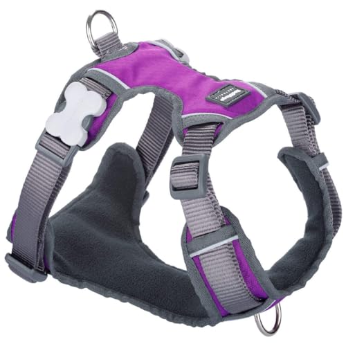 Red Dingo Dingo Hundegeschirr 47-73 cm 56-80 cm Violett L von Red Dingo