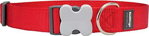 Red Dingo Einfaches Hundehalsband von Red Dingo