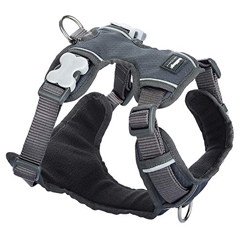Red Dingo Gepolstertes Hundegeschirr, Größe XL, Cool Grey (DH-PH-GY-XL) von Red Dingo