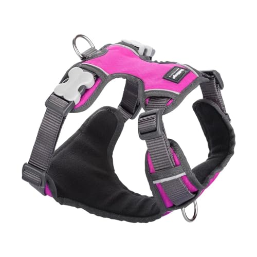 Red Dingo Gepolstertes Hundegeschirr, einfarbig, Hot Pink, Größe XS, 12 mm Red Dingo Gepolstertes Hundegeschirr, einfarbig, Hot Pink, Größe XS, 12 mm von Red Dingo