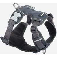 Red Dingo Geschirr Gepolstert XL grau Red Dingo Geschirr Gepolstert XL grau von Red Dingo
