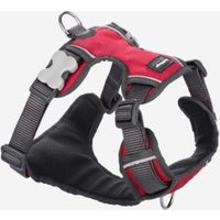 Red Dingo Geschirr Gepolstert XL rot Red Dingo Geschirr Gepolstert XL rot von Red Dingo