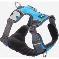 Red Dingo Geschirr Gepolstert XL türkis Red Dingo Geschirr Gepolstert XL türkis von Red Dingo