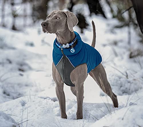 Red Dingo Hunde-Pufferjacke, Dunkelblau/Türkis, 60 cm von Red Dingo