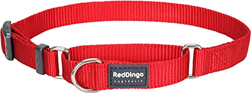 Red Dingo Hundehalsband, Größe S, 25–39 cm x 15 mm von Red Dingo