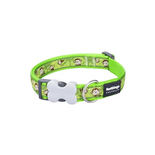 Red Dingo Style Monkey Lime Green Hundehalsband 15 mm x 24–36 cm von Red Dingo