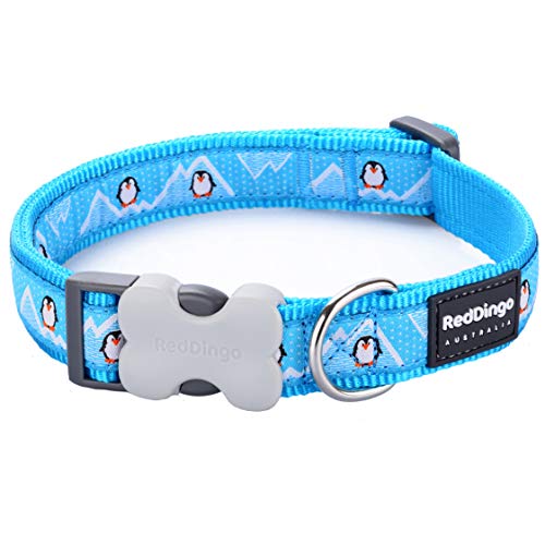 Red Dingo Hundehalsband mit Pinguin-Design, Türkis, Größe S Red Dingo Hundehalsband mit Pinguin-Design, Türkis, Größe S von Red Dingo