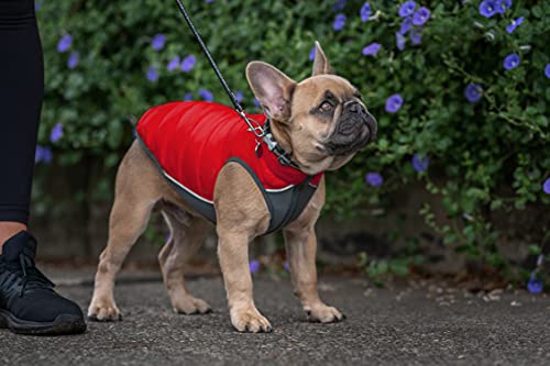 Red Dingo Hundejacke für Hunde, 55 cm, Rot / Orange von Red Dingo