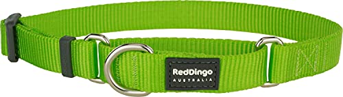 Red Dingo Martingale Classic Collar, Medium-Large, Lime Green von Red Dingo