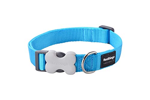 Red Dingo Nylon Hundehalsband, türkis, M (DC-ZZ-TQ-20) von Red Dingo
