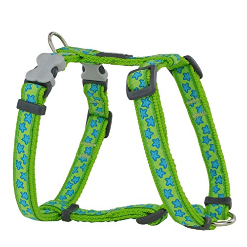 Red Dingo Nylon Hundegeschirr, Sterne, Lime grün, M (DH-ST-LG-20) Red Dingo Nylon Hundegeschirr, Sterne, Lime grün, M (DH-ST-LG-20) von Red Dingo