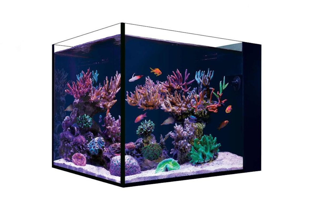 Red Sea Desktop Aquarium Set von Red Sea