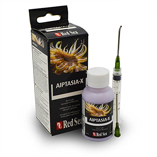 Red Sea Aiptasia-X Glasrosenbekämpfung, Riff-sicher, 60ml Kit von Red Sea