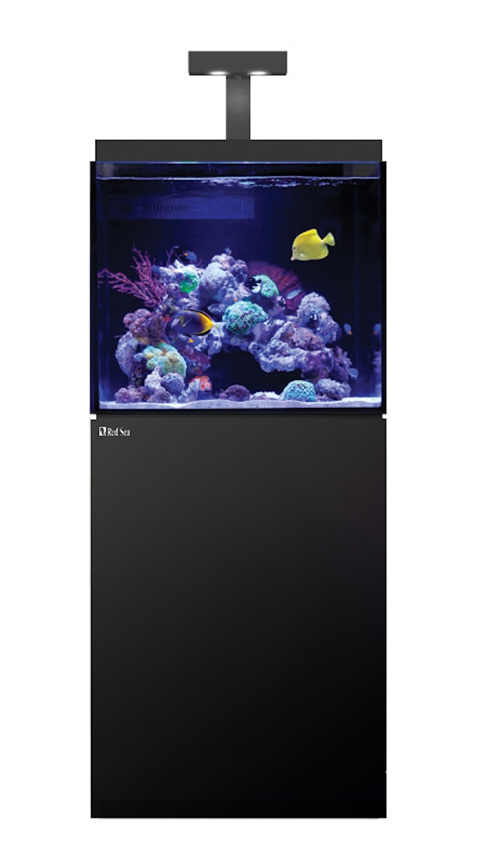 Red Sea MAX E 170 LED Aquarium mit Unterschrank für Meerwasser schwarz