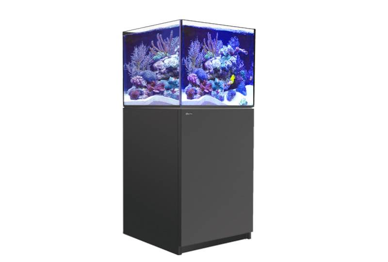 Red Sea REEFER 200 XL (G2 - Modelljahr 2022) Meerwasseraquarium mit Unterschrank von Red Sea