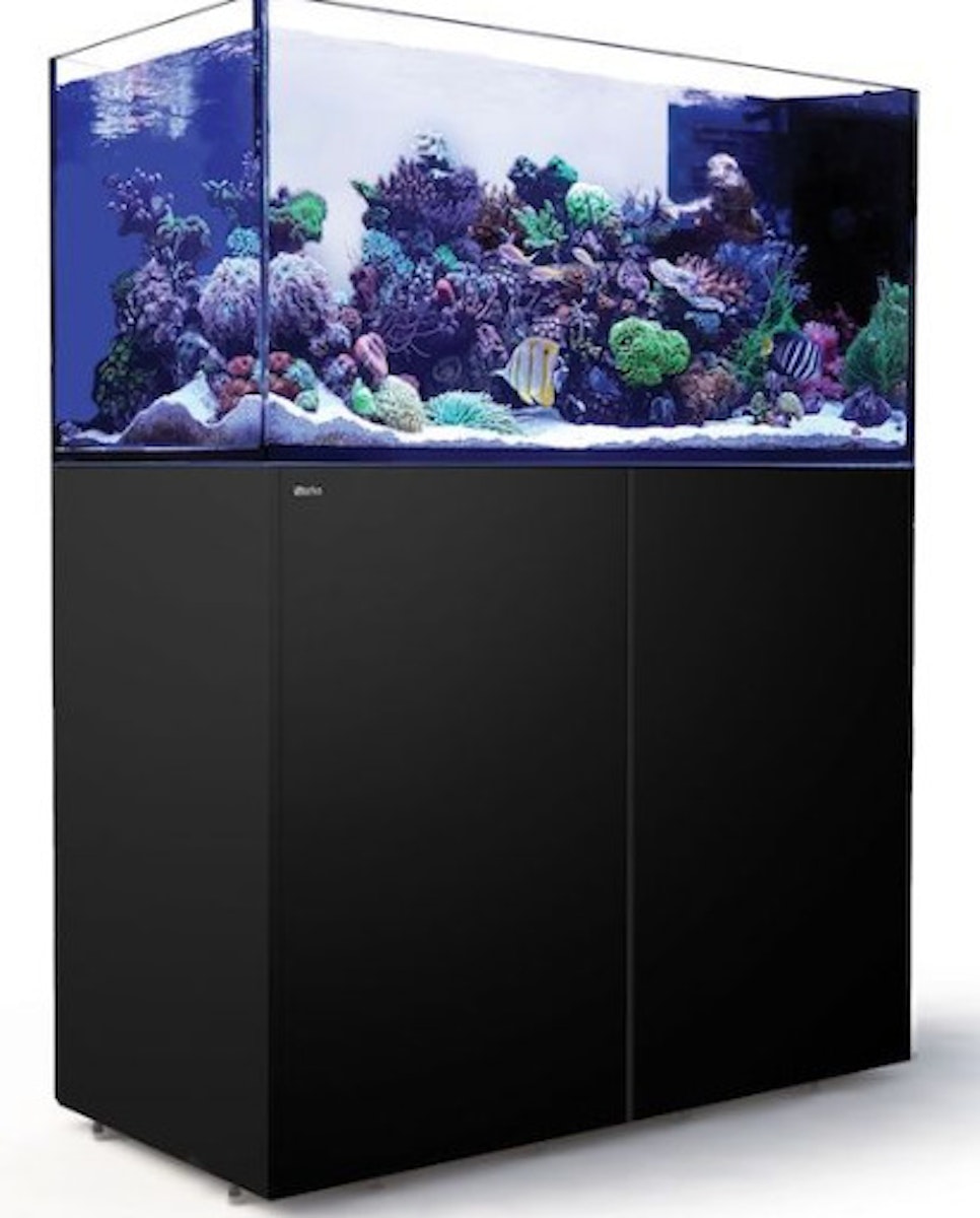 Red Sea REEFER 500 G2+ Peninsula DLX 2x RL160 Aquarium mit Unterschrank schwarz