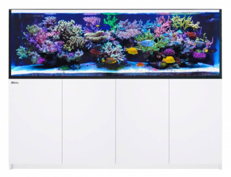 Red Sea REEFER 900 G2+ System Aquarium mit Unterschrank von Red Sea