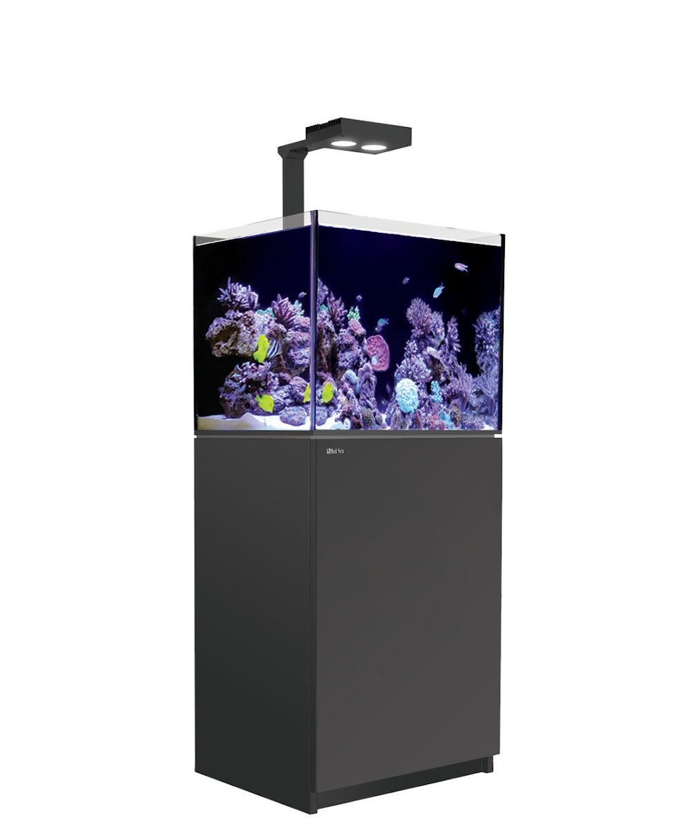 Red Sea REEFER 170 Deluxe (G2 - Modelljahr 2022) inkl. 1 x LED 90 Meerwasseraquarium mit Unterschran von Red Sea
