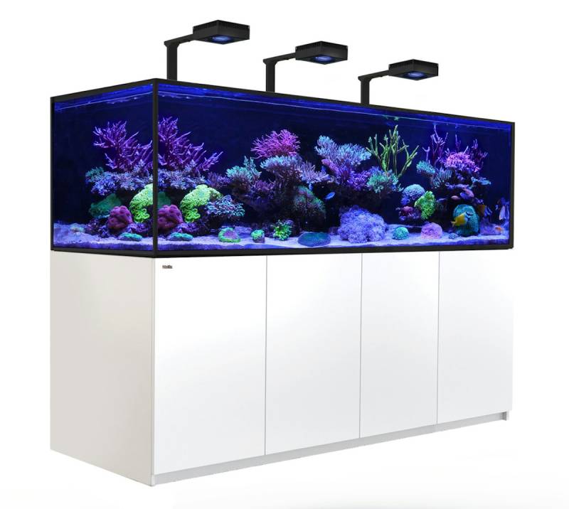 Red Sea Reefer S 1000 Deluxe Meerwasser-Aquarium mit Unterschrank von Red Sea