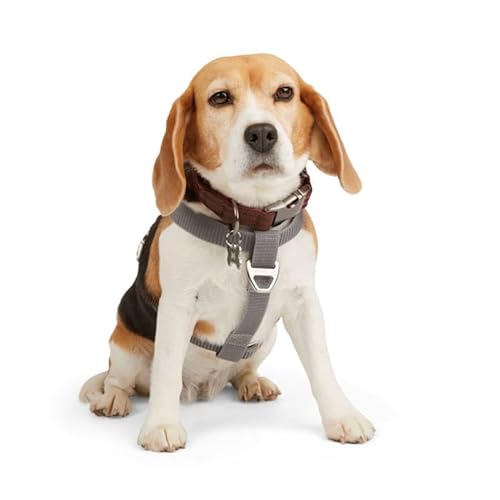 Reddy Hundegeschirr, reflektierend, Größe L, Grau Reddy Hundegeschirr, reflektierend, Größe L, Grau von Reddy