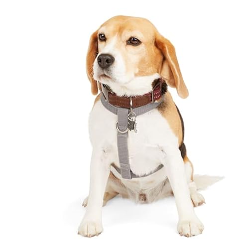 Reddy Hundegeschirr, reflektierend, Größe M, Grau Reddy Hundegeschirr, reflektierend, Größe M, Grau von Reddy