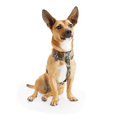 Reddy Hundegeschirr mit Jacquard-Riemen, Camouflage, Größe M Reddy Hundegeschirr mit Jacquard-Riemen, Camouflage, Größe M von Reddy