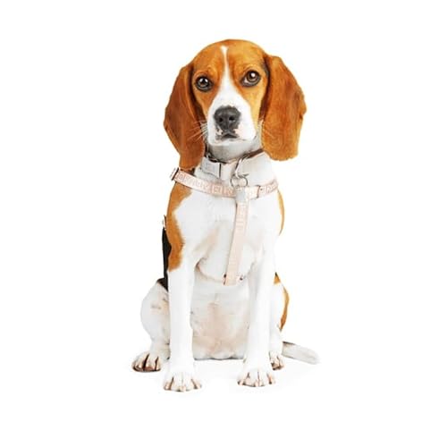 Reddy Hundegeschirr mit Jacquard-Riemen, Rosa, Größe M Reddy Hundegeschirr mit Jacquard-Riemen, Rosa, Größe M von Reddy