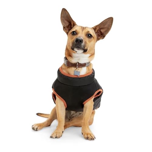 Reddy Primaloft Hundejacke, Größe XS, Schwarz Reddy Primaloft Hundejacke, Größe XS, Schwarz von Reddy