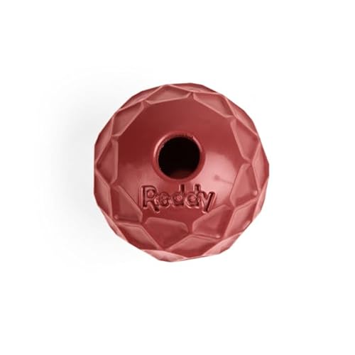 Reddy Red Geo Ball Hundespielzeug, klein Reddy Red Geo Ball Hundespielzeug, klein von Reddy