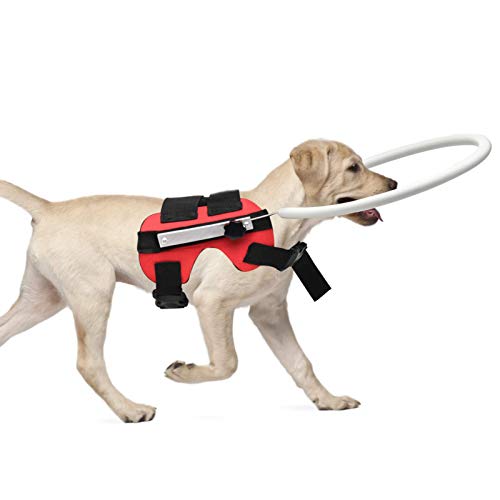 Redxiao Ungiftig Komfortabel Anti-Kollisions-Blindhund Anti-Kollisionsring, Blind Dog Harness Weste, Tier für Katze(MYFZ02 red, S) von Redxiao