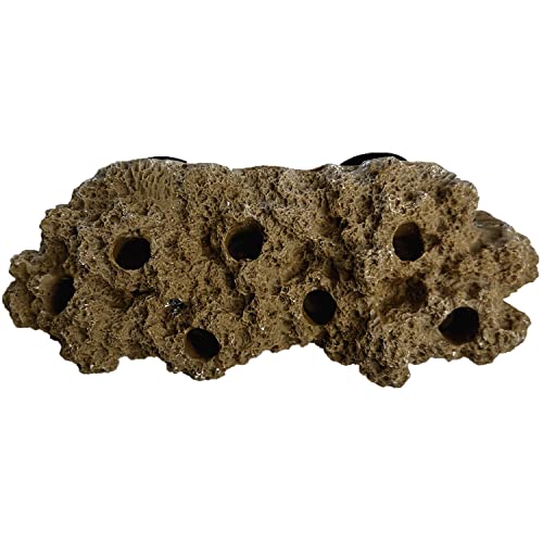 Reefing Art Magnetic Reef Rock Frag Rack Floating Rock Strong Magnets for 1/5.1 cm Glass (Brown) von Reefing Art