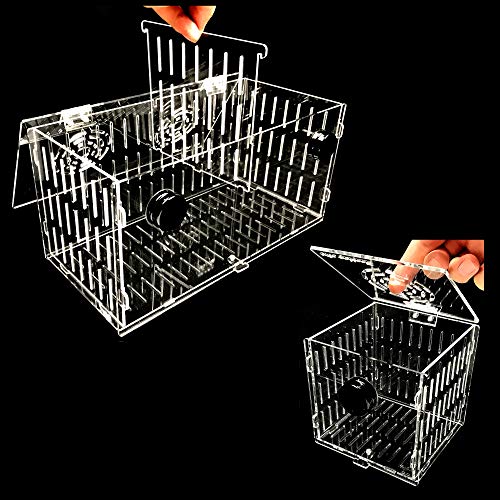 Reefing Art Magnetische Akklimatationsbox, groß, 40,6 x 15,2 x 20,3 Reefing Art Magnetische Akklimatationsbox, groß, 40,6 x 15,2 x 20,3 von Reefing Art
