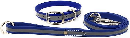 Regal Dog Products Reflektierendes Hundehalsband mit Leine für Kleine, Mittelgroße, Große Hunde (Blau) - Halsband Reflektierend und Leine Set für Hund mit Farbe - Halsband Welpen bis Grosse Hunde von Regal Dog Products