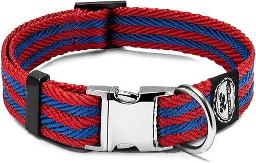 Regal Dog Products Hundehalsband für Kleine, Mittelgroße, Große Hunde (Rot/Blau Gestreift) - mit Metallschnalle und D-Ring - Halsband für Welpen, Mittelgrosse & Grosse Hunde von Regal Dog Products