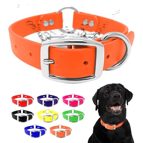Regal Dog Products Hundehalsband Wasserfest für Kleine, Mittelgroße, Große Hunde (Orange) - Halsband für Hunde mit Mittelring - Hunde Halsband für Welpen, Mittelgrosse & Grosse Hunde von Regal Dog Products