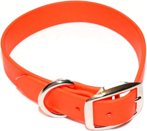 Regal Dog Products Orangefarbenes Welpenhalsband für Kleine Hunde - Vinylbeschichtetes Gurtband, Wasserdicht, Geruchsbeständig und Leicht zu Reinigen Hundehalsband mit Doppelschnalle und D-Ring von Regal Dog Products