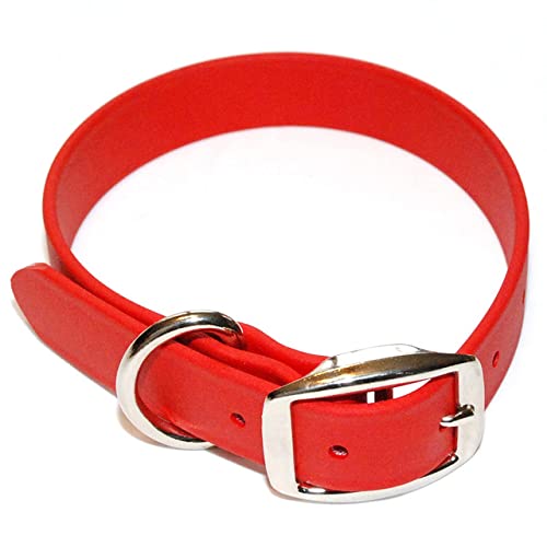 Regal Dog Products Rotes Hundehalsband für große Hunde - Vinyl Beschichtetes Gurtband, Wasserdicht, Geruchsbeständig und Leicht zu Reinigen Hundehalsband mit Doppelschnalle und D-Ring von Regal Dog Products
