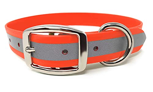 Regal Dog Products Strapazierfähiges Orangefarbenes Reflektierendes Hundehalsband für Kleine Hunde und Welpen – mit Schnalle und D-Ring, Geruchshemmend, Kaubeständig, Wasserdichtes Hundehalsband von Regal Dog Products