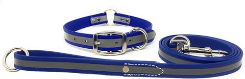 Regal Dog Products Reflektierendes Hundehalsband mit Leine für Kleine, Mittelgroße, Große Hunde (Blau) - Halsband Reflektierend und Leine Set für Hund mit Farbe - Halsband Welpen bis Grosse Hunde von Regal Dog Products