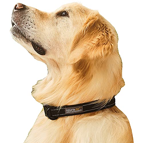 Regatta Hochwertiges Hundehalsband, ideal für Spaziergänge und Outdoor-Aktivitäten von Regatta