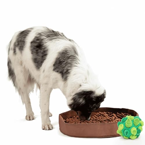 Reggie Enrichment Vorteilspack für Hunde mit stimulierender Futtermatte und Futterball zur Linderung von Schnellfressen, Langeweile, Stress, Tierarzt-genehmigt und ideal für alle Altersgruppen Reggie Enrichment Vorteilspack für Hunde mit stimulierender Futtermatte und Futterball zur Linderung von Schnellfressen, Langeweile, Stress, Tierarzt-genehmigt und ideal für alle Altersgruppen von Reggie