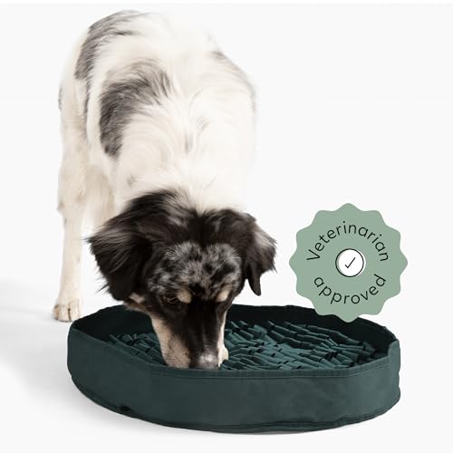 Reggie Stimulierende Futtermatte für Hunde, lindert schnelles Essen, Langeweile, Stress, tierärztlich zugelassen und ideal für alle Altersgruppen, Hunderassen und Größen (Jägergrüne Futtermatte) Reggie Stimulierende Futtermatte für Hunde, lindert schnelles Essen, Langeweile, Stress, tierärztlich zugelassen und ideal für alle Altersgruppen, Hunderassen und Größen (Jägergrüne Futtermatte) von Reggie
