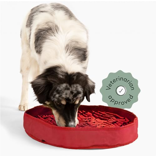 Reggie Stimulierende Futtermatte für Hunde, lindert schnelles Essen, Langeweile, Stress, tierärztlich zugelassen und ideal für alle Altersgruppen, Hunderassen und Größen (rote Futtermatte) von Reggie