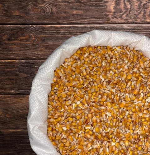 Mais 25 kg, aus eigener Herstellung, Ernte 2024 von Regionalgut Butz