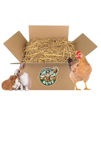 Gerstenstroh 2,5 kg für Kaninchen, Hühnern, Meerschweinchen, Pferden, aus eigener Herstellung, Ernte 2024 von Regionalgut Butz