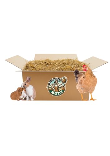 Strohballen 14 kg aus Gerstenstroh - für Kaninchen, Hühnern, Meerschweinchen, Pferden, aus eigener Herstellung, Ernte 2024 Strohballen 14 kg aus Gerstenstroh - für Kaninchen, Hühnern, Meerschweinchen, Pferden, aus eigener Herstellung, Ernte 2024 von Regionalgut Butz