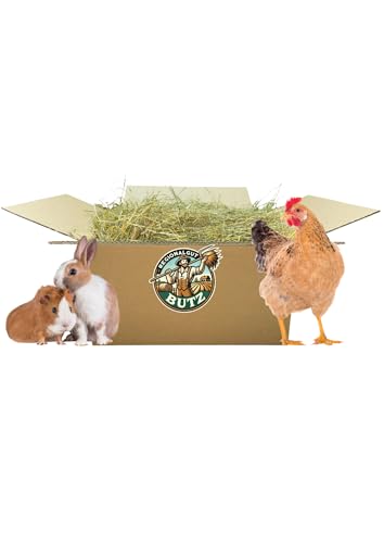 Wiesenheu 3 kg für Kaninchen, Meerschweinchen, Pferde, Schafe aus eigener Herstellung, Ernte 2024 von Regionalgut Butz