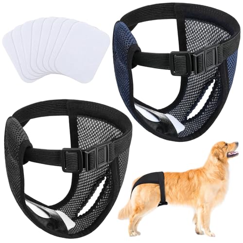 2er Pack Hundewindeln Wiederverwendbare Läufigkeitshose für Hündinnen Hundewindeln Für Hündinnen mit 5 Damenbinden Verstellbare Schutzhose für Hündinnen Waschbare Schutzhose, Schwarz und Blau, XL 2er Pack Hundewindeln Wiederverwendbare Läufigkeitshose für Hündinnen Hundewindeln Für Hündinnen mit 5 Damenbinden Verstellbare Schutzhose für Hündinnen Waschbare Schutzhose, Schwarz und Blau, XL von Reh:ncla