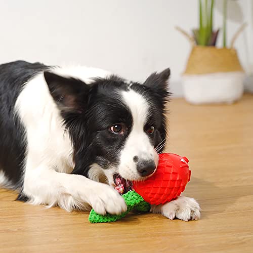 Kauspielzeug Lustige Stimme Bissfeste Zahnreinigung Haustier Hund Zähne Reinigung Molar Toy Haustier Supplies Hund Kauspielzeug von Reheyre